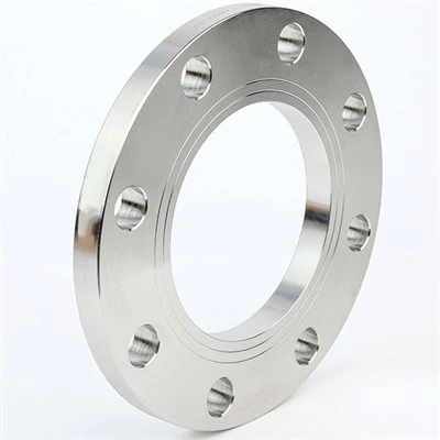 Hastelloy Alloy C276 DIN 2573 2576 2502 2503 ravne prirubnice za zavarivanje