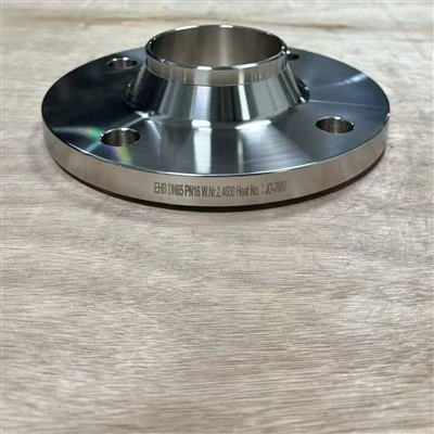 Hastelloy B3 Dn65 Pn 16 Prirubnica